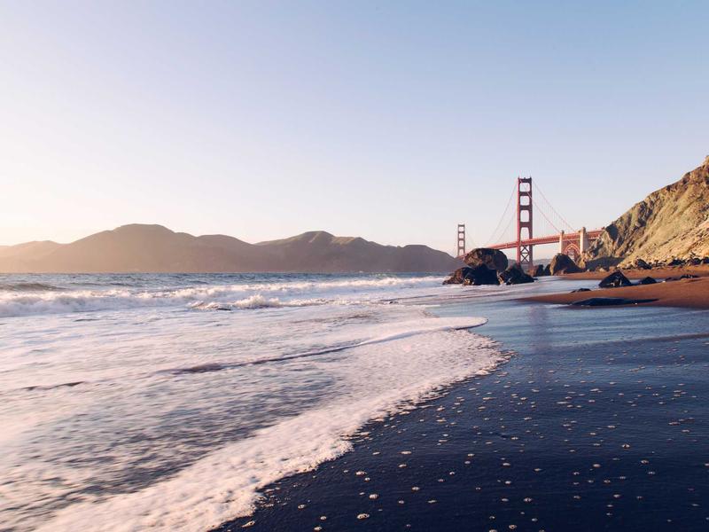 Grass-fed burger plate with sweet potato fries
